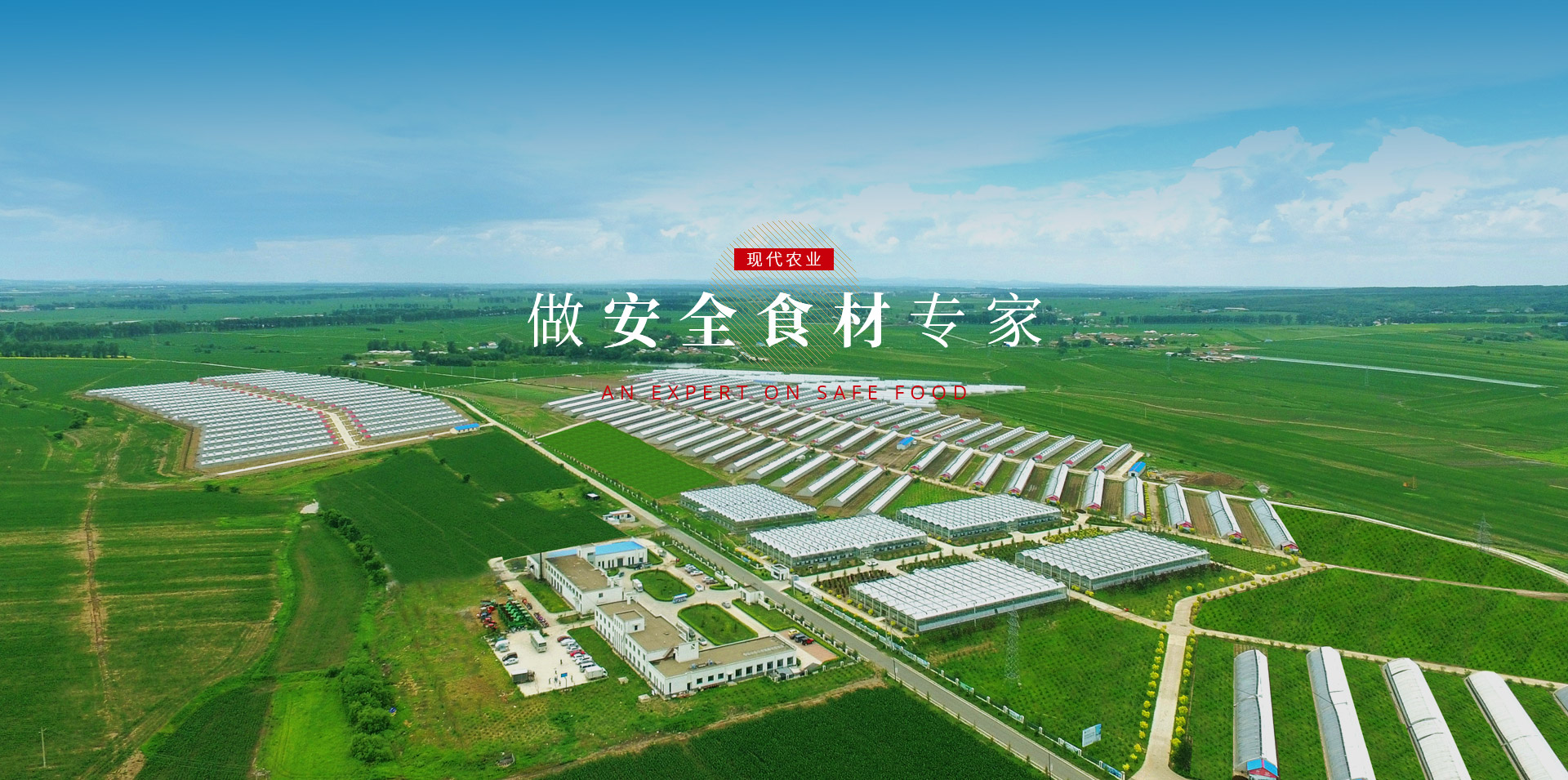 云顶集团3118(中国)官方网站