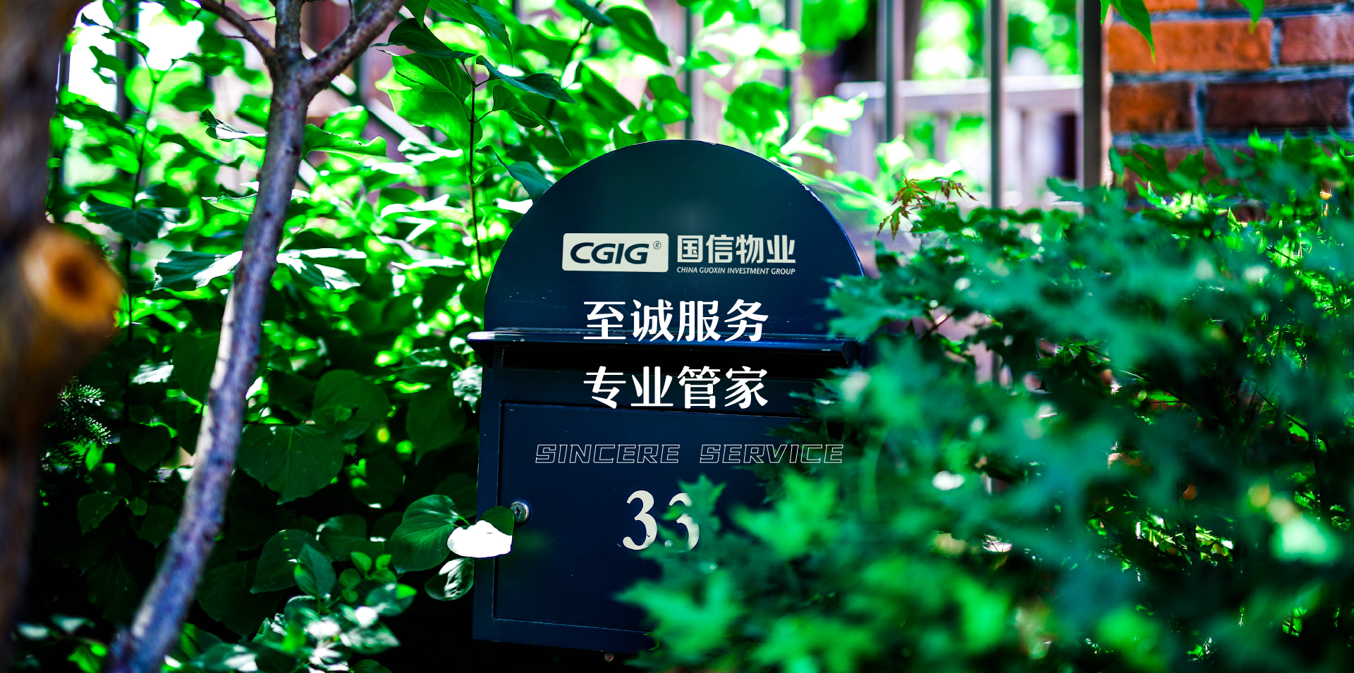 云顶集团3118(中国)官方网站