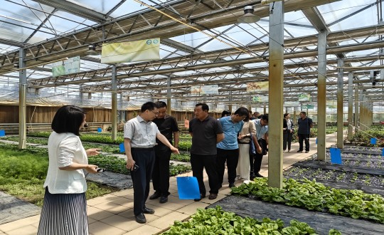 29.中国绿色食品发展中心有关辅导光临农业总公司调查调研_副本.jpg 29.中国绿色食品发展中心有关辅导光临农业总公司调查调研_副本.jpg