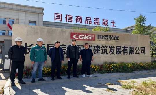 4.结合查抄组光临装配式总公司发展查抄工作_副本.jpg