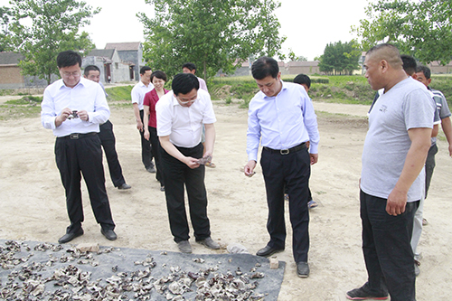 mg不朽情缘(中国)官方网站